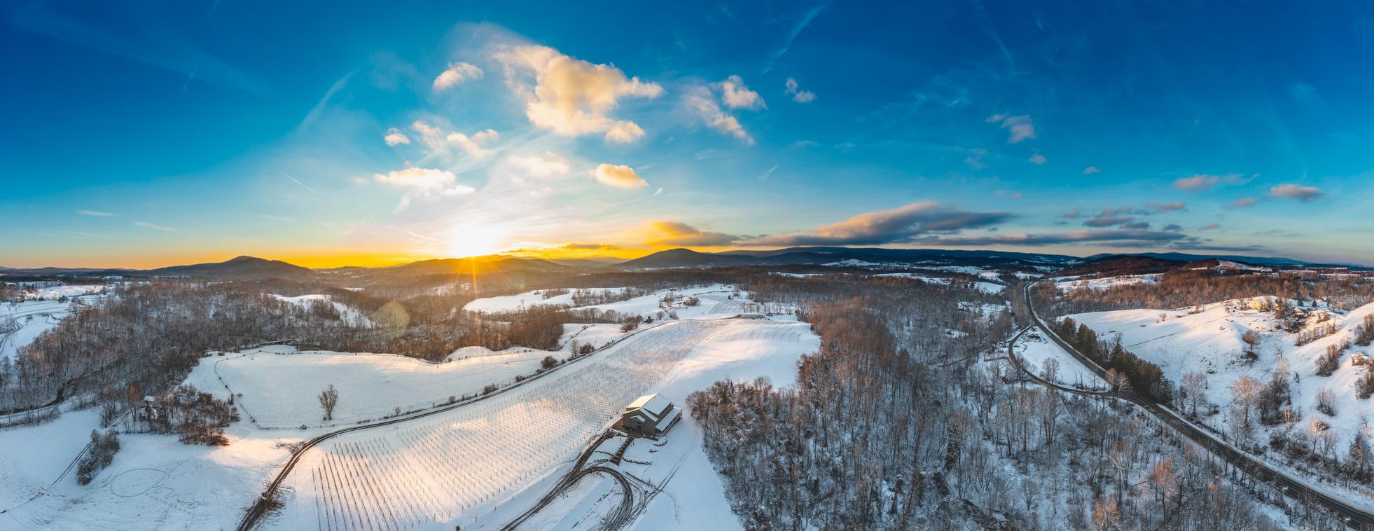 Three Foxes Vineyard & Brewery